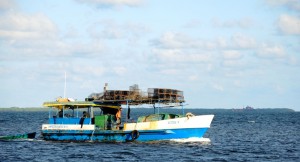 Hummerfischer auf Kuba
